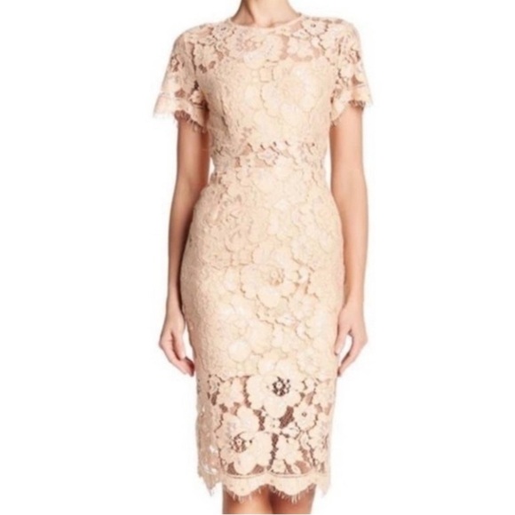 NSR Lace MIDI Cocktail Evening Party Dress S - Picture 2 of 6